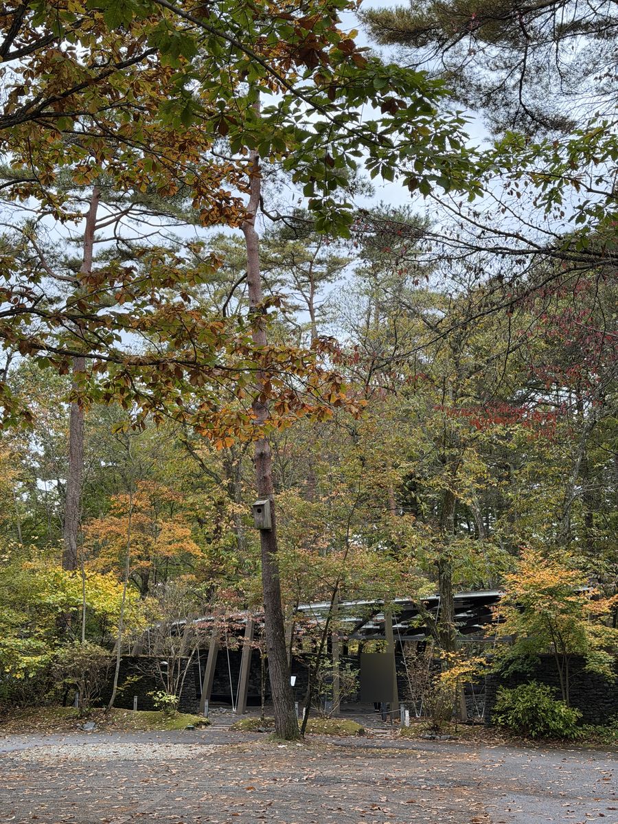 紅葉が始まった森の中にある石の教会 内村鑑三記念堂